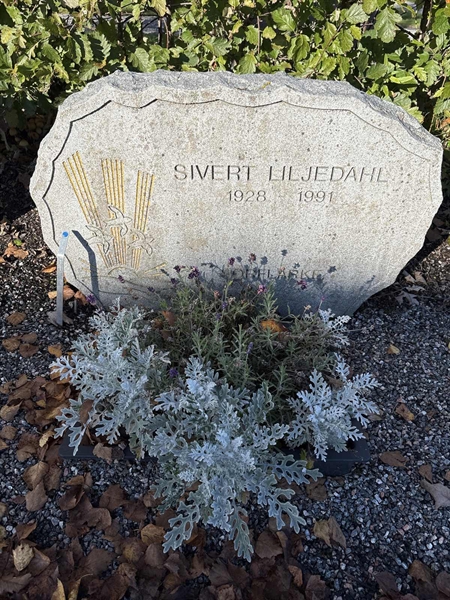 Grave number: 4 N NE    25