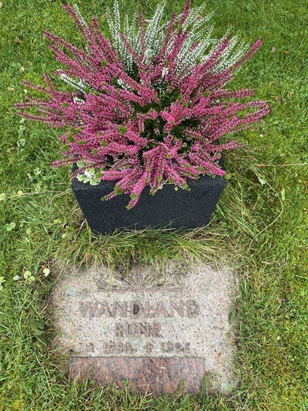 Hautatunnus: 1 24    215