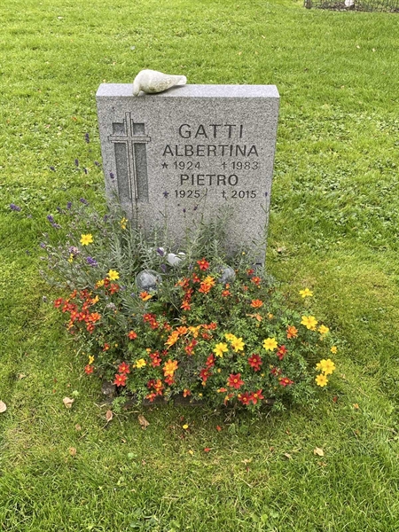 Hautatunnus: 2 C    16-17