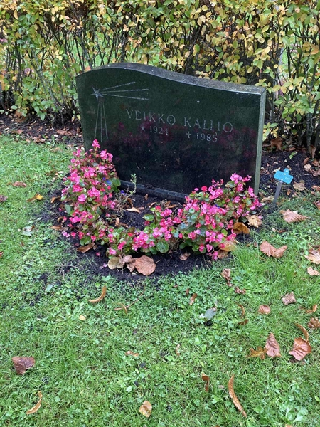 Grave number: 2 N 322