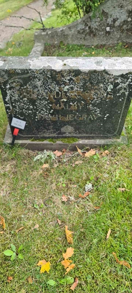 Grave number: M V  289, 289a