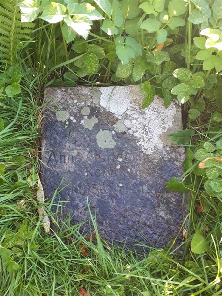 Hautatunnus: GK A 4   331V