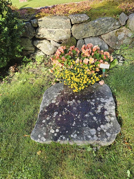 Grave number: Fr 5   877