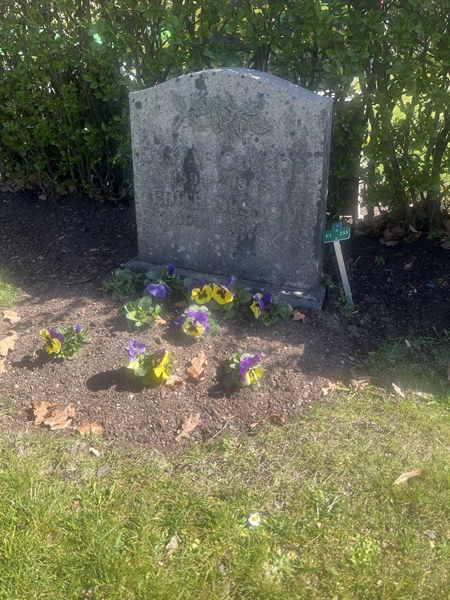 Grave number: 1 3 F1 233