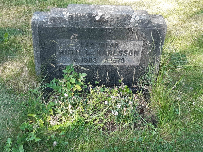Grave number: VI 02   665