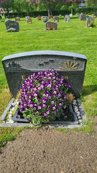 Grave number: D N 8  2086-2087