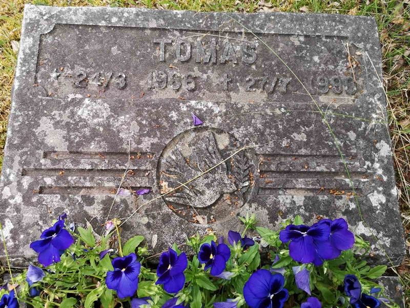 Gravnummer: SK S     9