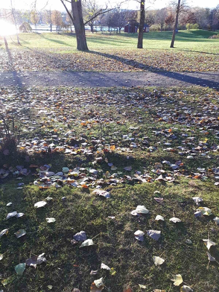 Gravnummer: GK F 3   306