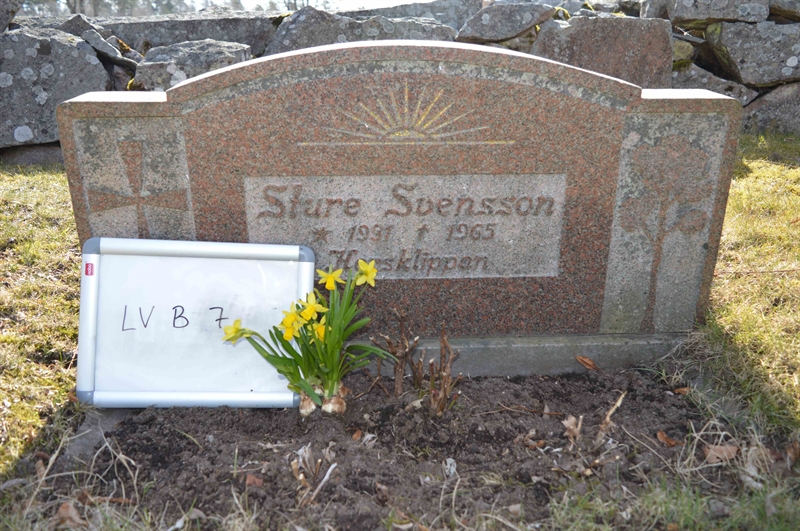 Grave number: LV B     7