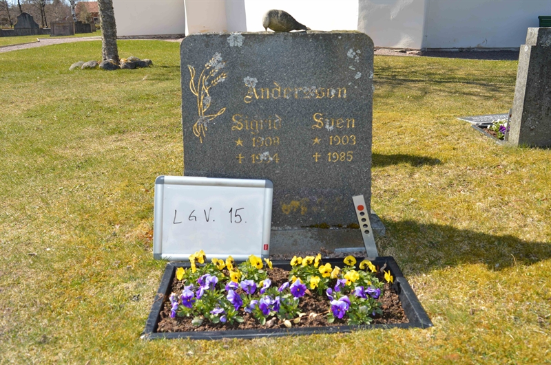 Grave number: LG V    15