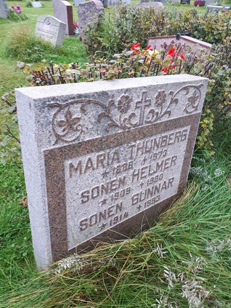 Hautatunnus: NK F B   984