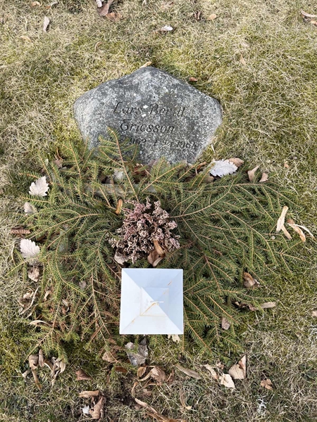Hautatunnus: Ärt 44 15 242