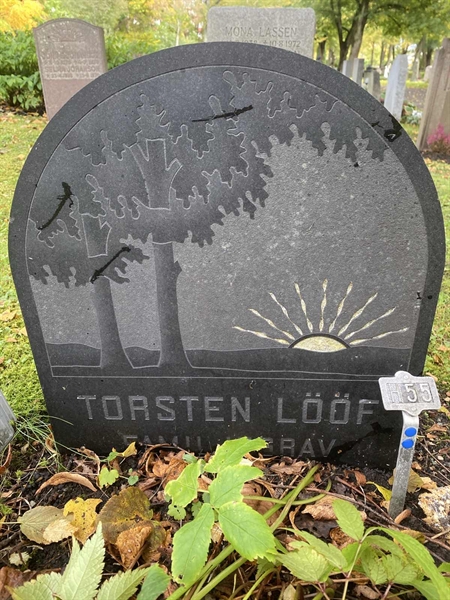 Gravnummer: 1 H    55