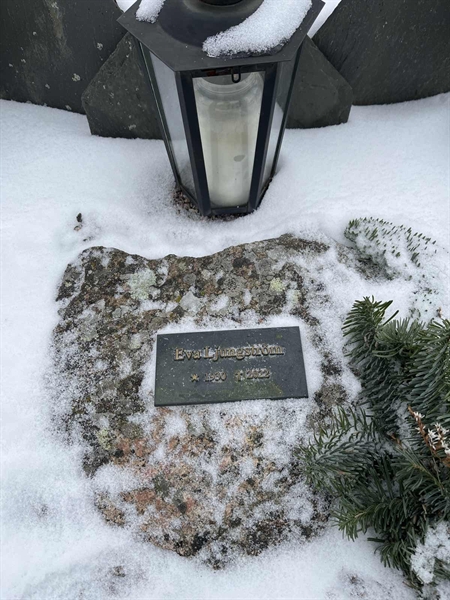 Gravnummer: SJ.A P    14