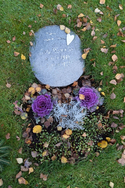 Grave number: 01 23    66