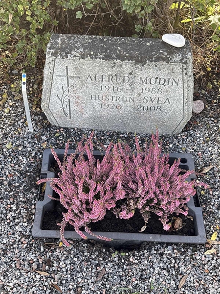 Grave number: 4 N ND   170