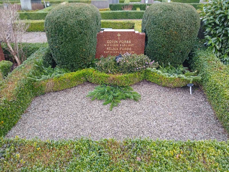 Hautatunnus: Si I     7, 8