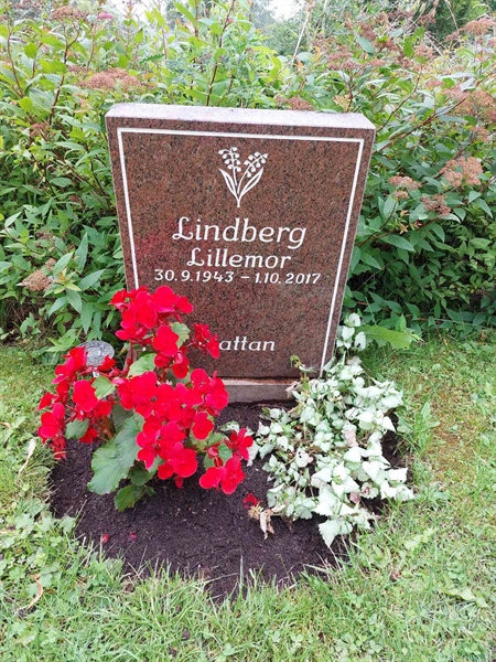 Gravnummer: 1 C   288