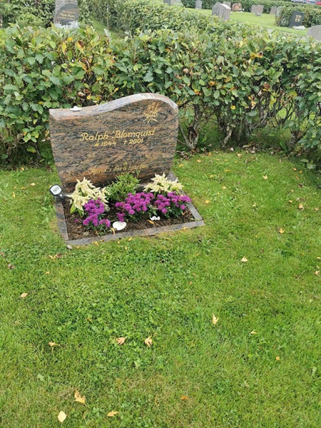 Grave number: F NYA  1671