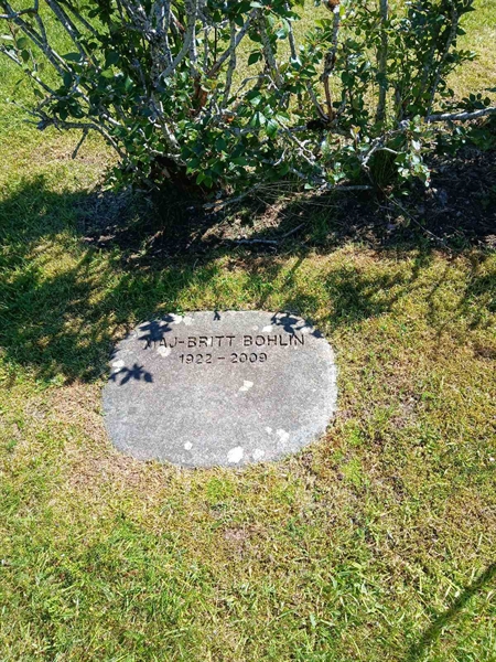 Grave number: 2 10   31b