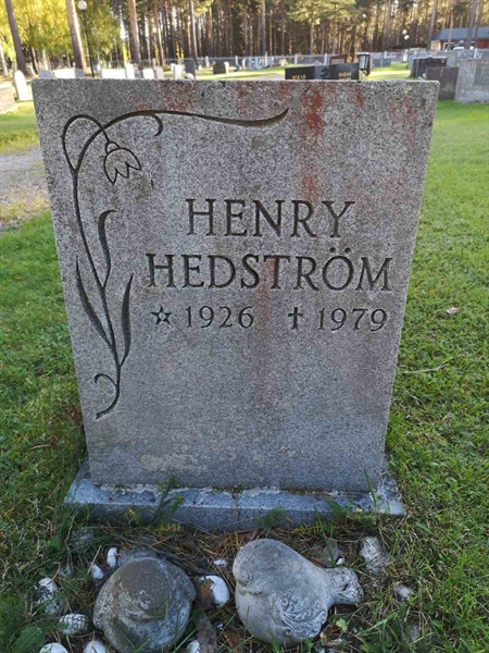 Hautatunnus: VLM 11    53:1-2