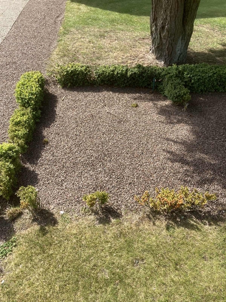 Grave number: MÖ G I 49