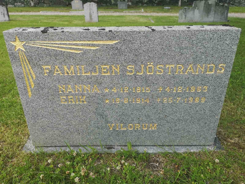 Hautatunnus: PK   117