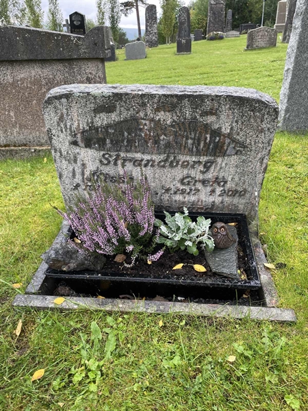 Grave number: MV II    46