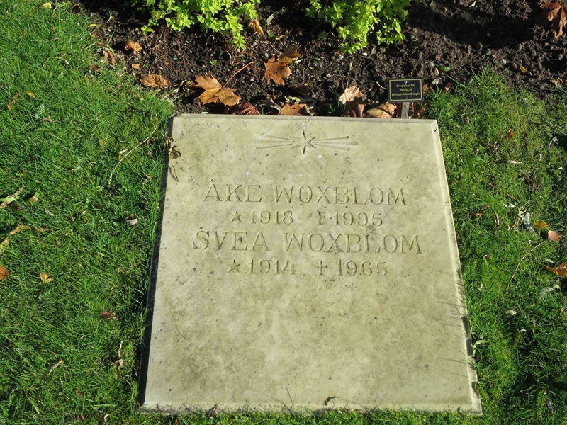 Grave number: HÖB 52    26
