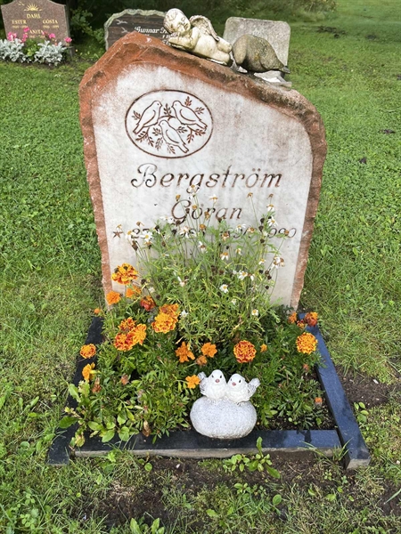 Grave number: 5 03   315