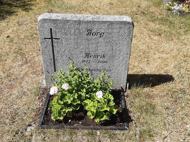 Grave number: VI 05   856