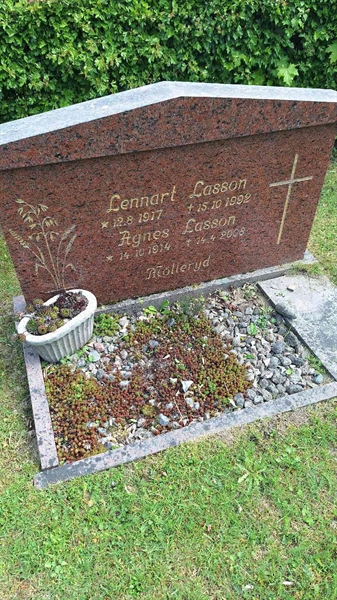 Grave number: VG D   249-250