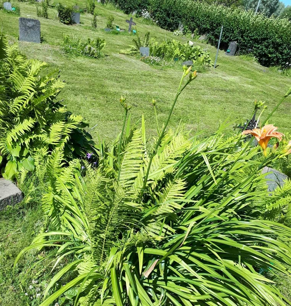 Grave number: GK A 5   153M