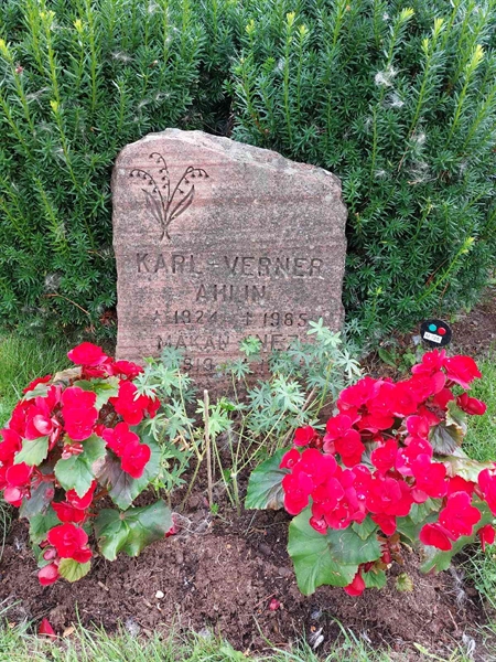 Gravnummer: 1 U   725