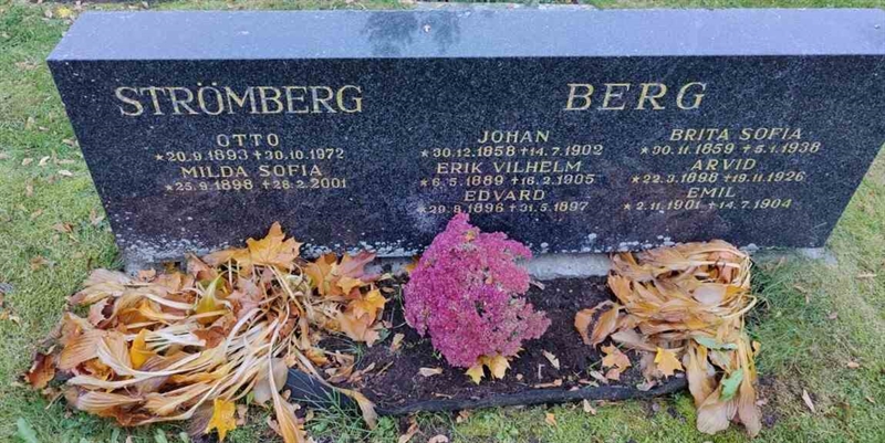 Hautatunnus: 1 GC 03     17