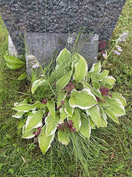 Gravnummer: N 4 4   548