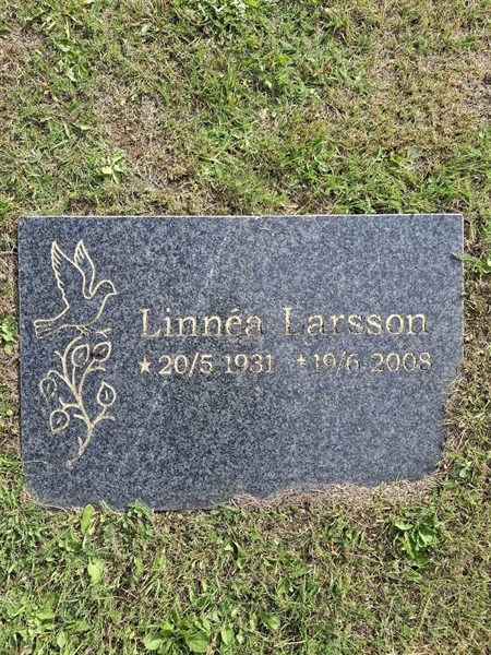 Grave number: 001 4  3507