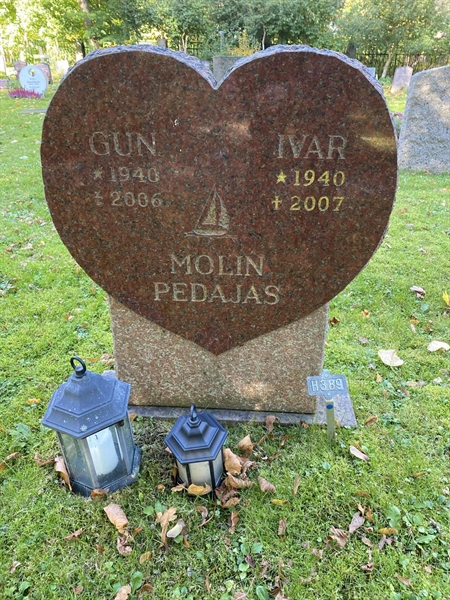 Hautatunnus: 1 H   389