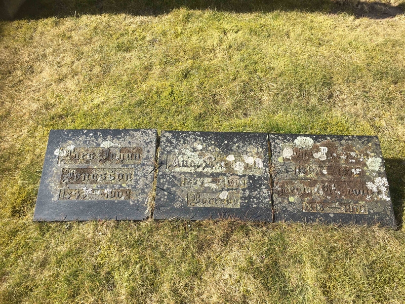 Grave number: 1 G   230, 231, 232