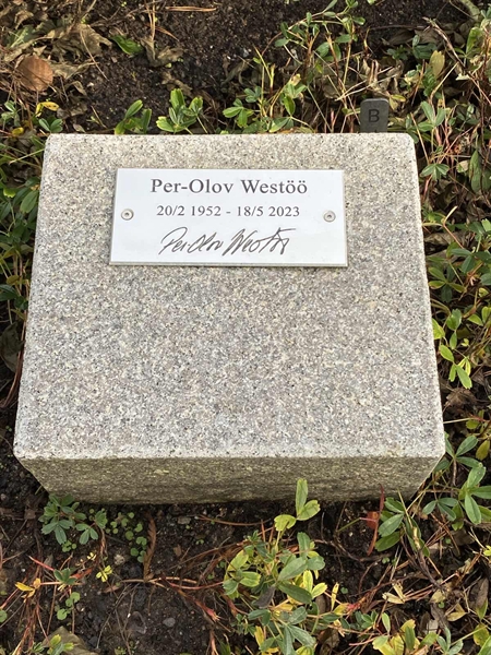 Gravnummer: 2 B     5