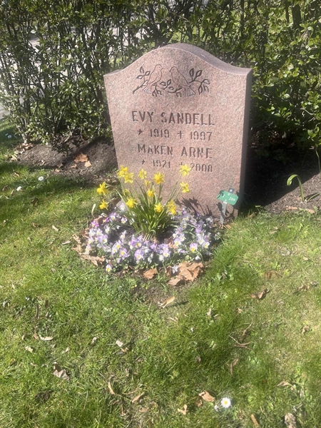 Grave number: 1 3 F1 209