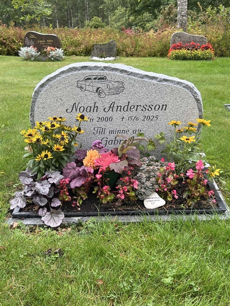 Grave number: 6 5   404