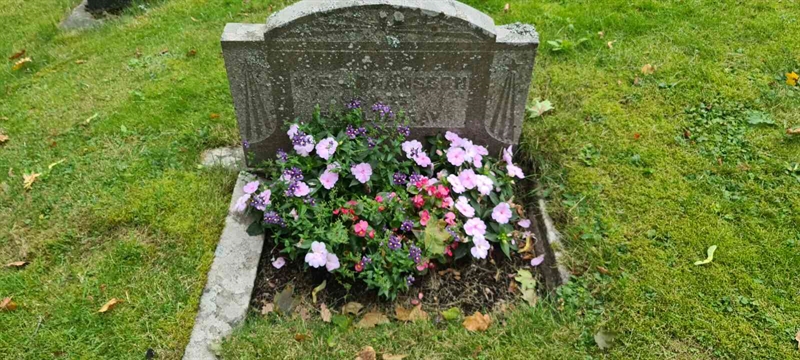 Grave number: M S  100