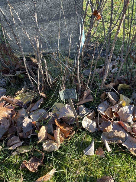 Gravnummer: GK A 3   550