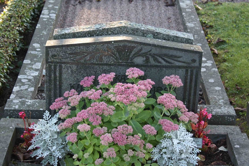 Grave number: 1 K D   41