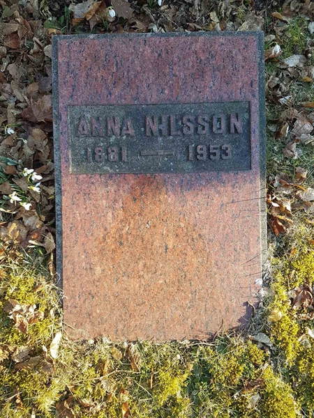 Grave number: RK N 20     1