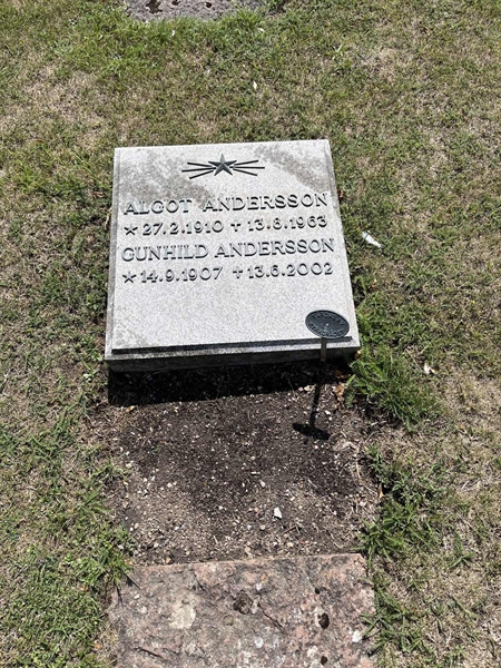 Grave number: NK I:u   176