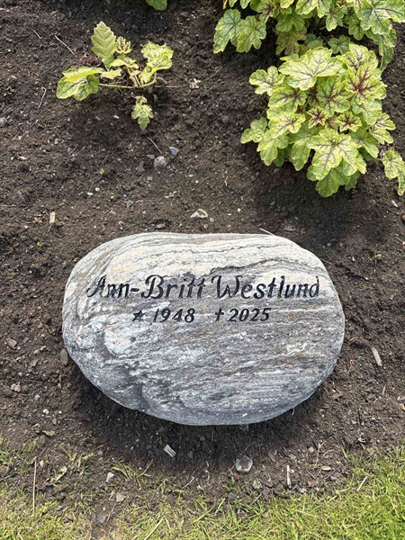 Grave number: G 12   167