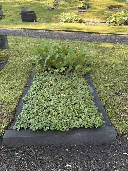 Hautatunnus: 1 B    59