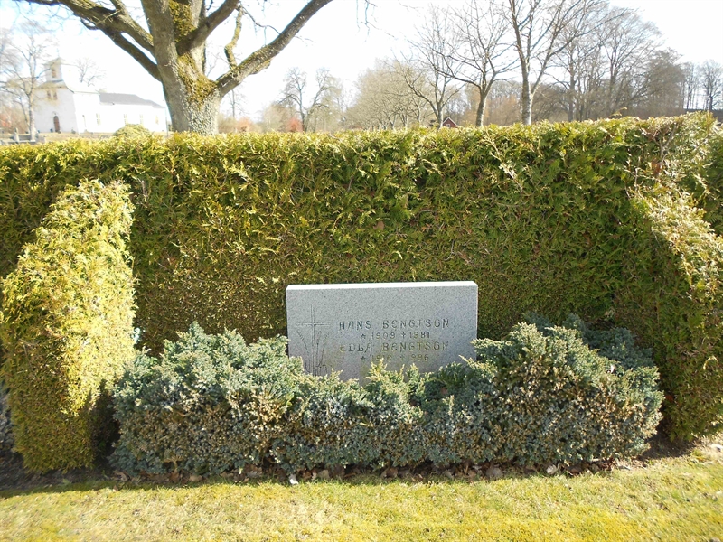 Grave number: V 35   199